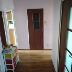3 pokojowe mieszkanie/ Czechów Południowy/ Bezpośrednio od właściciela