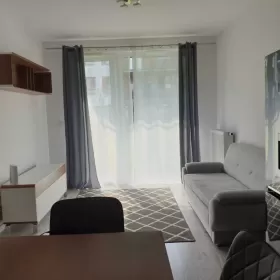 Wynajmę Mieszkanie 54 m2 z ogródkiem, parter, klimatyzacja, OD ZARAZ, garaż