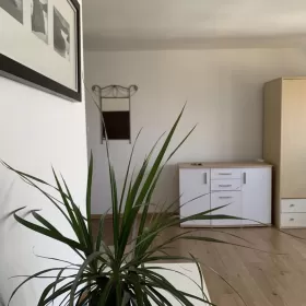 Wynajmę kawalerkę w centrum Szczecina