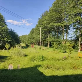 Sprzedam dom blisko parku zdrojowego Bydgoszcz