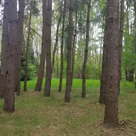 Sprzedam działkę Radom