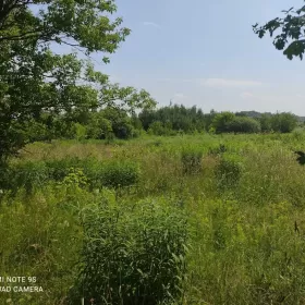 Działka budowlana 2460m2 Białystok sprzedam