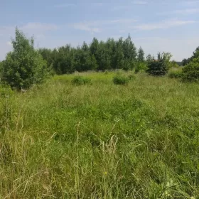 Działka budowlana 2460m2 Białystok sprzedam