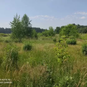 Działka budowlana 2460m2 Białystok sprzedam