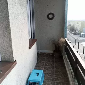 Wynajmę mieszkanie Knurów 