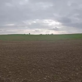 Działka , linią brzegową Jezioraka 5ha pod zabudowę kanał na Zalewo