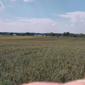Działka , linią brzegową Jezioraka 5ha pod zabudowę kanał na Zalewo