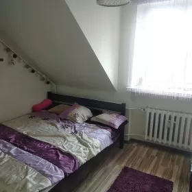 Wynajmę mieszkanie Starachowice