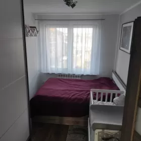 Wynajmę mieszkanie w centrum Mława 