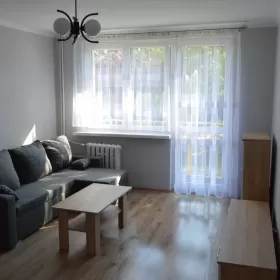 Mieszkanie do wynajęcia Górczyn 1 pietro
