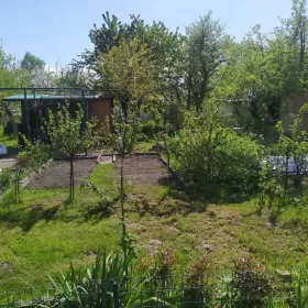 Ogródek działkowy-Działka Rekreacyjna-BROCHÓW | PRĄD,Trampolina i inne