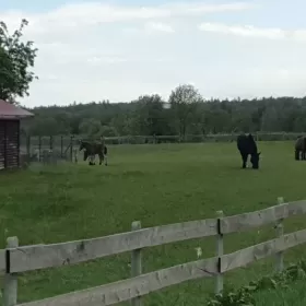 Działka budowlana na Kaszubach Dąbrówno , prywatnie , jezioro
