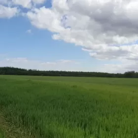 Działka budowlana na Kaszubach Dąbrówno , prywatnie , jezioro