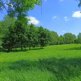 Sprzedam działkę budowlaną koło Piszu w Rostkach z dostępem do jeziora