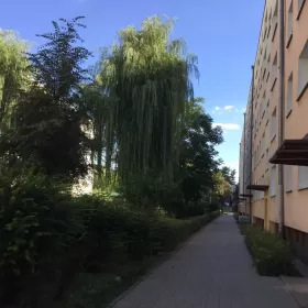 Mieszkanie 3 pokojowe 47m2 Wynajme Poznań