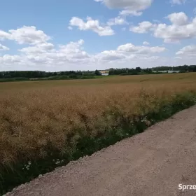 Linia brzegowa Jezioraka 5ha pod zabudowę kanał na Zalewo