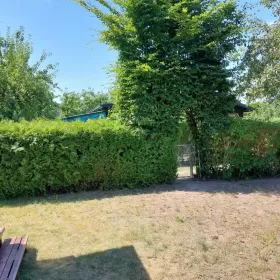 sprzedam ogródek działkowy rod