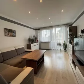 Sprzedam mieszkanie 3 Zabrze pokoje 53m2