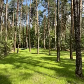 Sprzedam działkę nad jeziorem Rajgrodzkim
