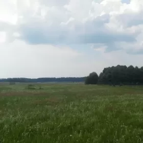 Działka nad jeziorem Białym gm.Piecki