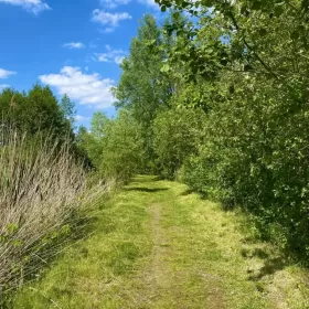 Działka budowalna nad jeziorem Głuszyńskim