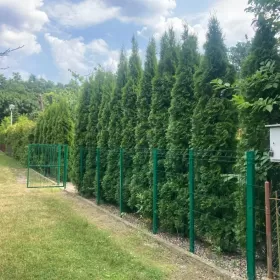 Działka rekreacyjna Wieniec Zalesie 350m2 / Domek / Oaza spokoju