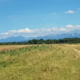 Działka z pięknym widokiem na Tatry, Gorce i Babia Górę!
