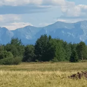 Działka z pięknym widokiem na Tatry, Gorce i Babia Górę!