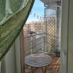 Wynajmę mieszkanie Kraków, Koszykarska 31 umeblowane, balkon, parking