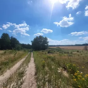 Działka budowlana 1570m2 - Domachowo - 20 min od Gdańska