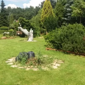 Działka Rekreacyjna Wieniec Zalesie 870 m2