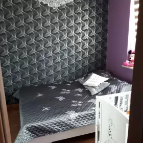 Wynajmę Mieszkanie Mława 2-pokojowe osiedle Zielone Tarasy