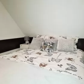 Apartament Bajka Bialka T. z kuchnia nocleg gory /wolne Termy