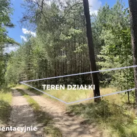 Działka w lesie na Mazurach Tylkowo gm Pasłęk 815m2