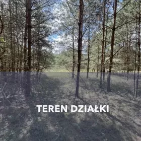 Działka w lesie na Mazurach Tylkowo gm Pasłęk 815m2