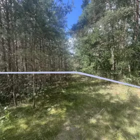 Działka w lesie na Mazurach Tylkowo gm Pasłęk 815m2