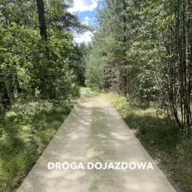 Działka w lesie na Mazurach Tylkowo gm Pasłęk 815m2