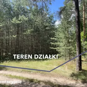 Działka w lesie na Mazurach Tylkowo gm Pasłęk 815m2