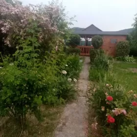 Ogródek działkowy