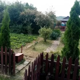 Ogródek działkowy