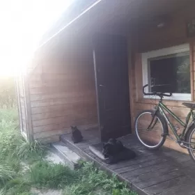 Sprzedam domek drewniany caloroczny letniskowy w Marki Czarna Struga