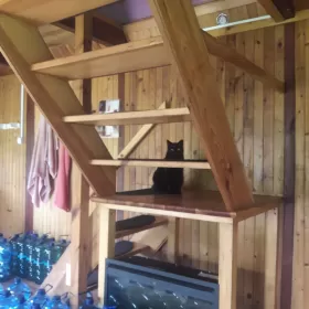 Sprzedam domek drewniany caloroczny letniskowy w Marki Czarna Struga