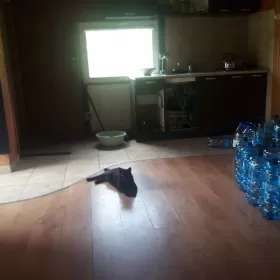 Sprzedam domek drewniany caloroczny letniskowy w Marki Czarna Struga