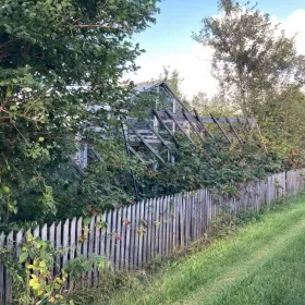 Ogródek działkowy ROD/ działka ogrodnicza 360m2 Gdynia Cisowa
