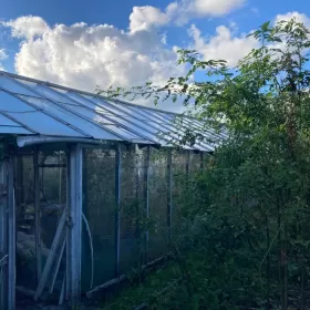 Ogródek działkowy ROD/ działka ogrodnicza 360m2 Gdynia Cisowa