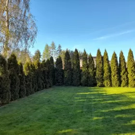 Sprzedam Dom, Nowa Wieś Malborska, Malbork,