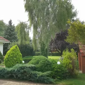 Dom w Zalesiu Żabiej Woli, 225 m, dwulokalowy,cicha bezpieczna okolica