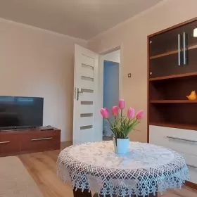 Wynajmę mieszkanie w centrum Polkowic