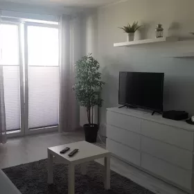 Wynajmę mieszkanie dwupokojowe Kalisz