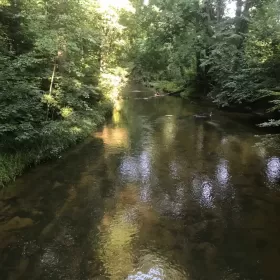 Sprzedam Dom Roztocze pod Zwierzyńcem